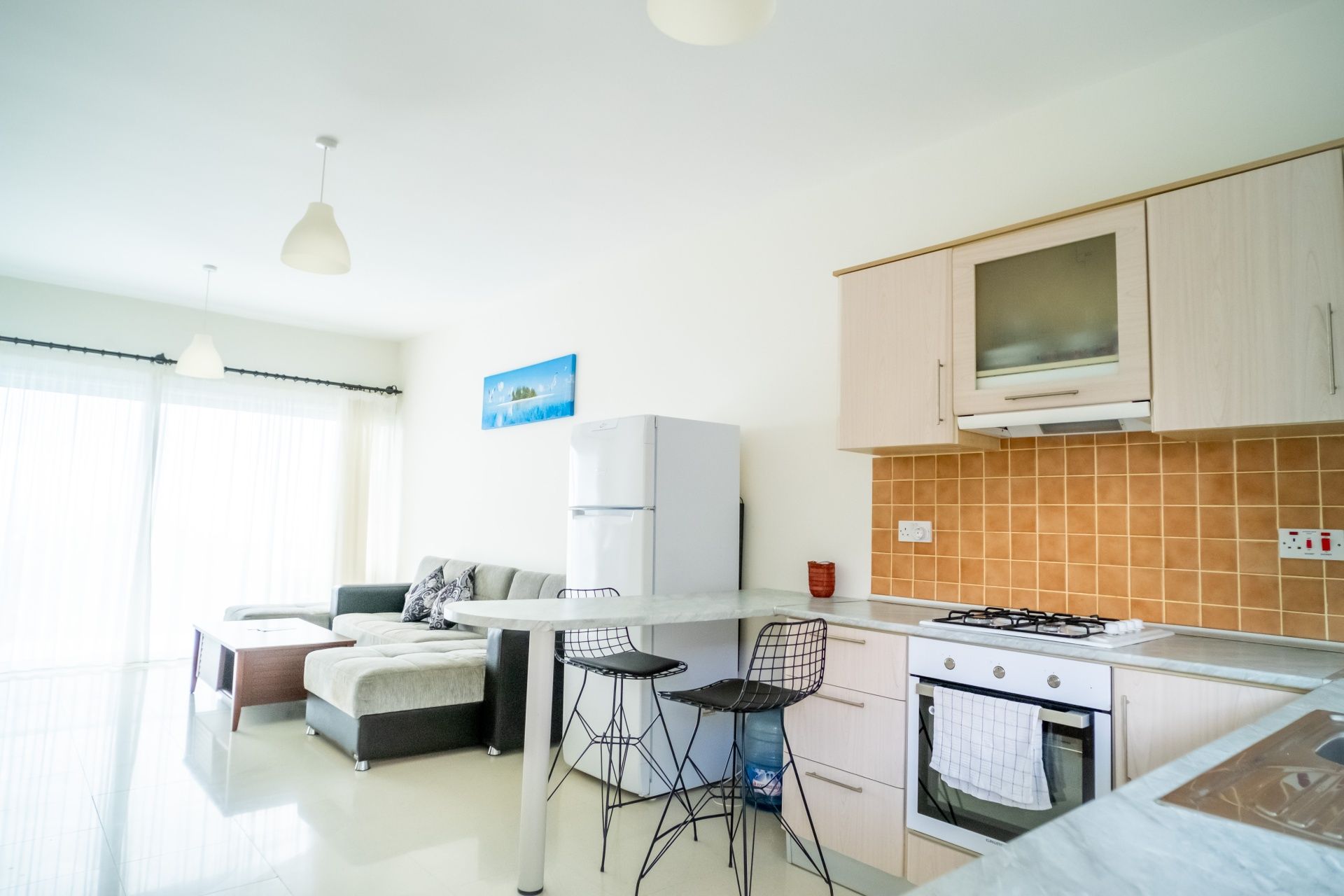 3-комнатные апартаменты 78 м² с мебелью и техникой