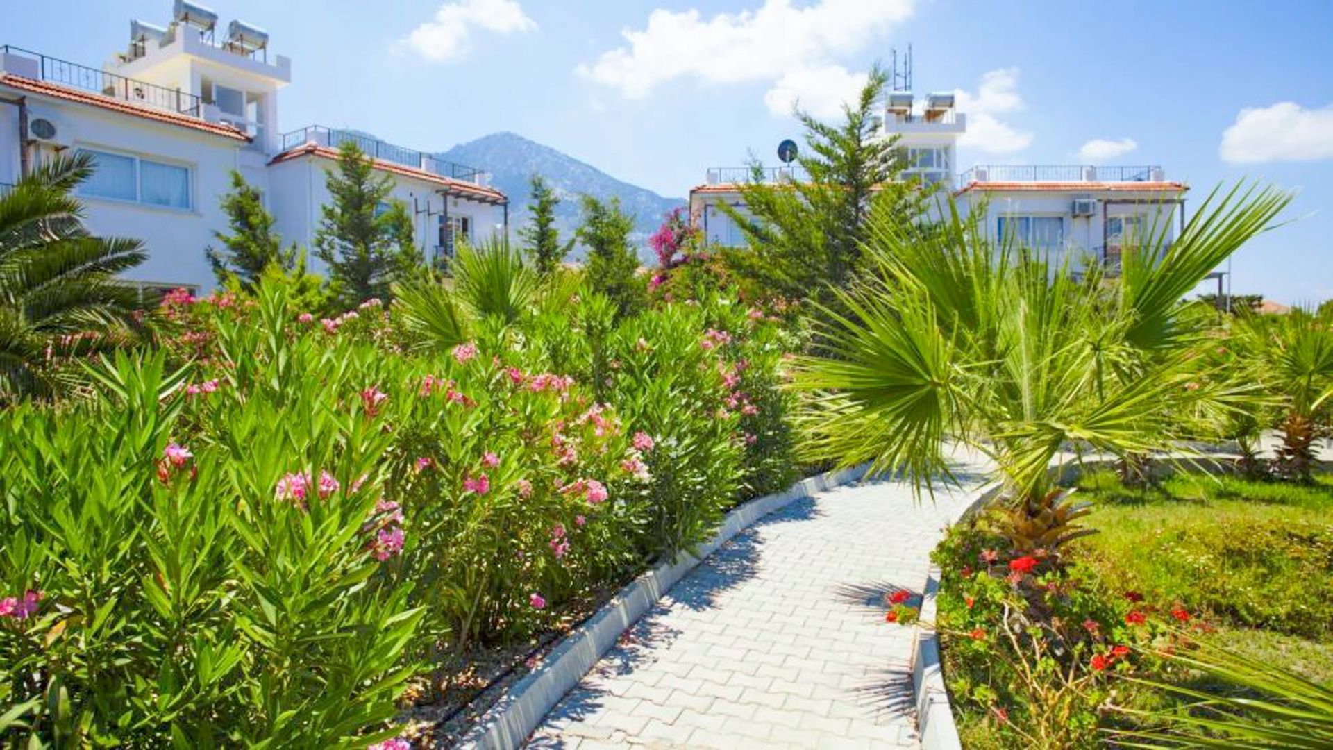 3-комнатные апартаменты 50 м² в 100 метрах от моря! — фото 7